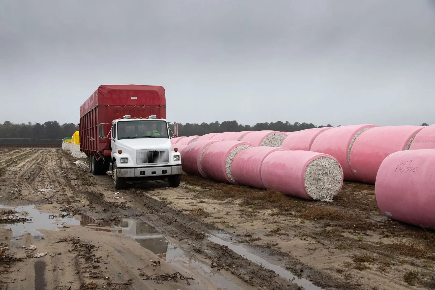 Wrapped cotton modules in a field awaiting transport