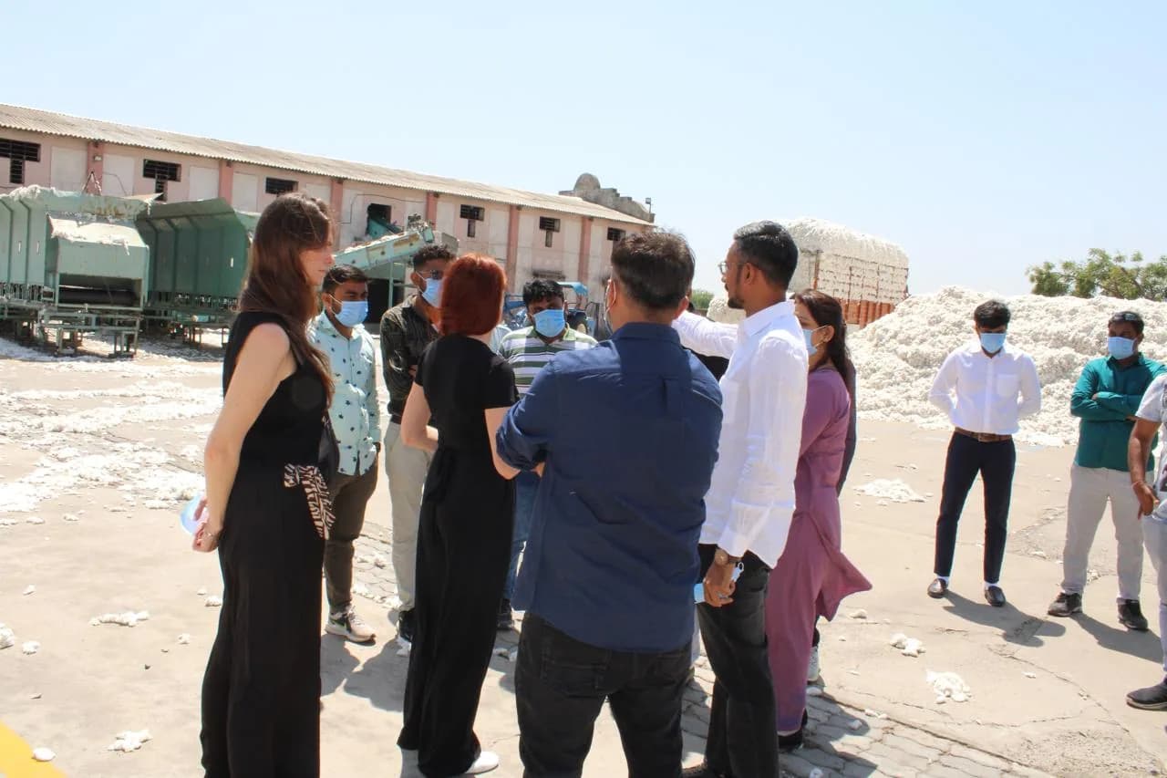 Visitors walking through the cotton yard