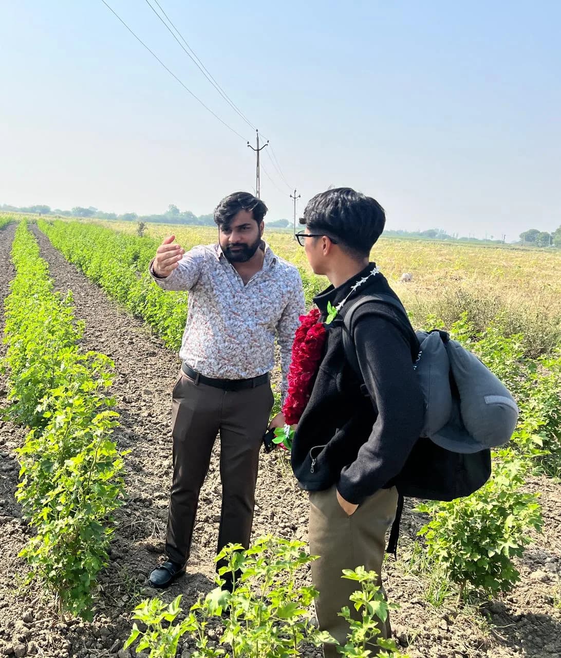 Discussing the cotton crop with a visiting client in the field
