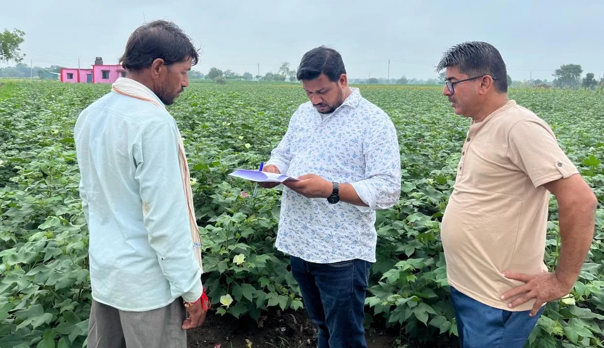 Team reviewing a cotton crop with the farmer
